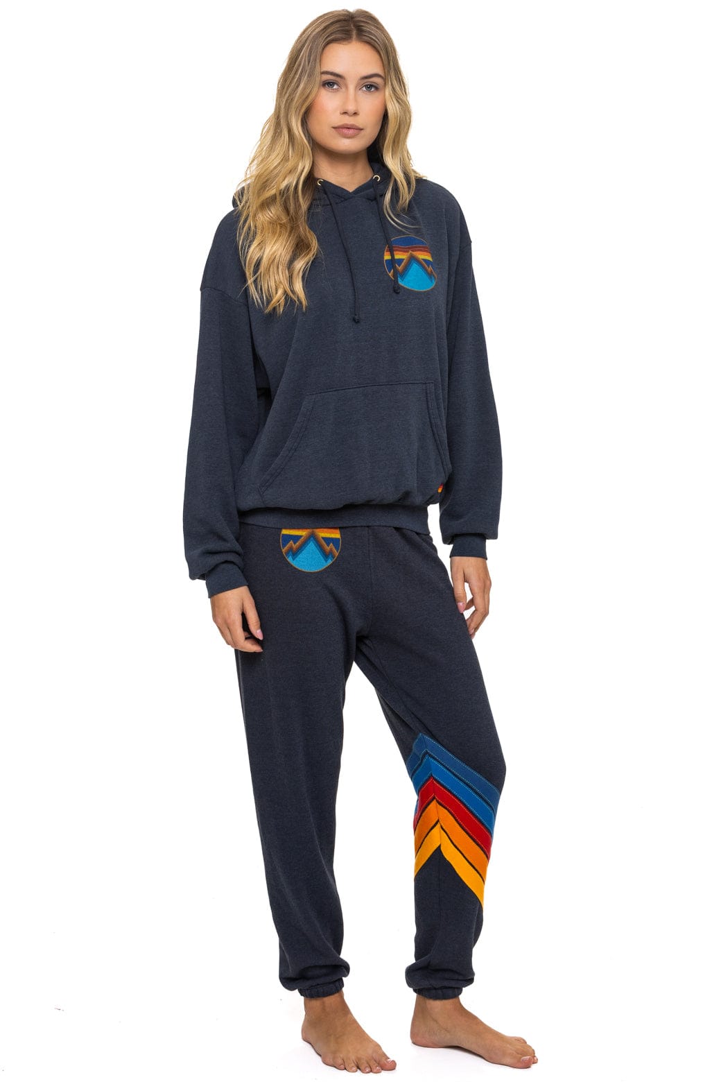 ALL SEASONS RELAXED PULLOVER HOODIE - CHARCOAL