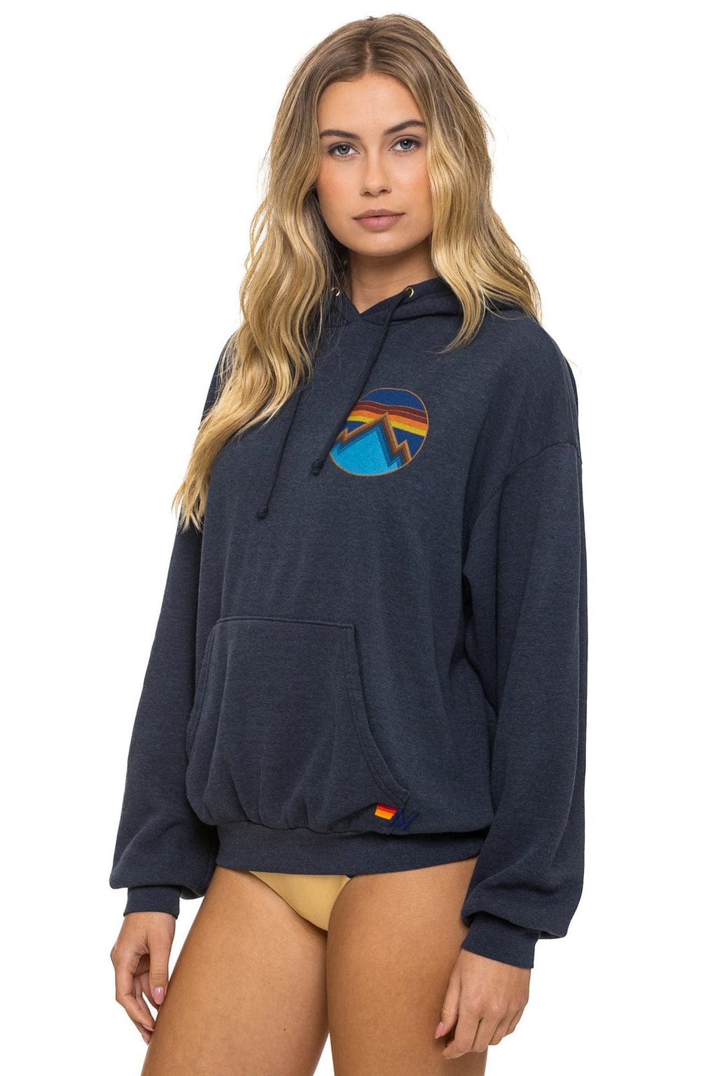 ALL SEASONS RELAXED PULLOVER HOODIE - CHARCOAL