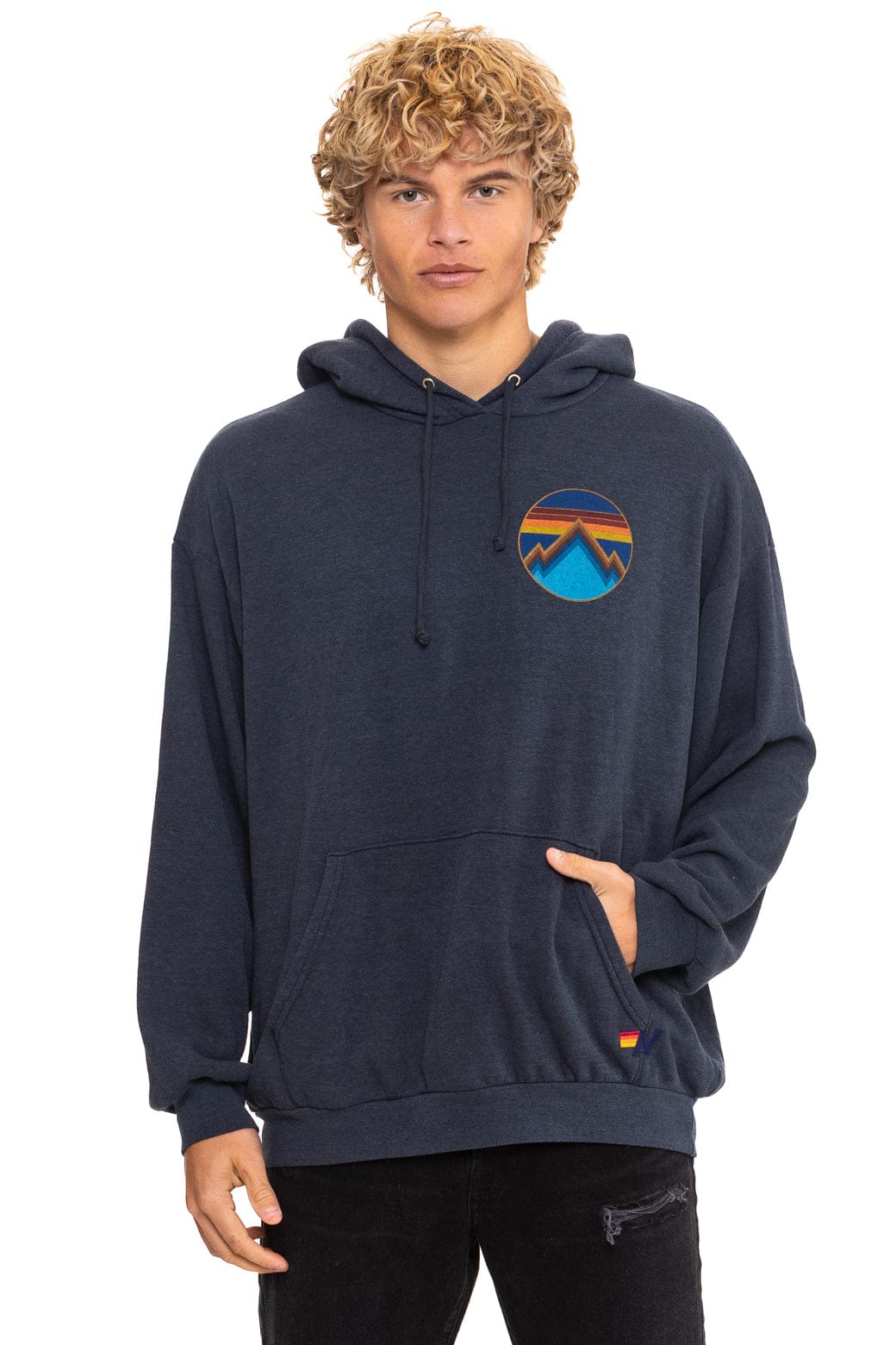 ALL SEASONS RELAXED PULLOVER HOODIE - CHARCOAL