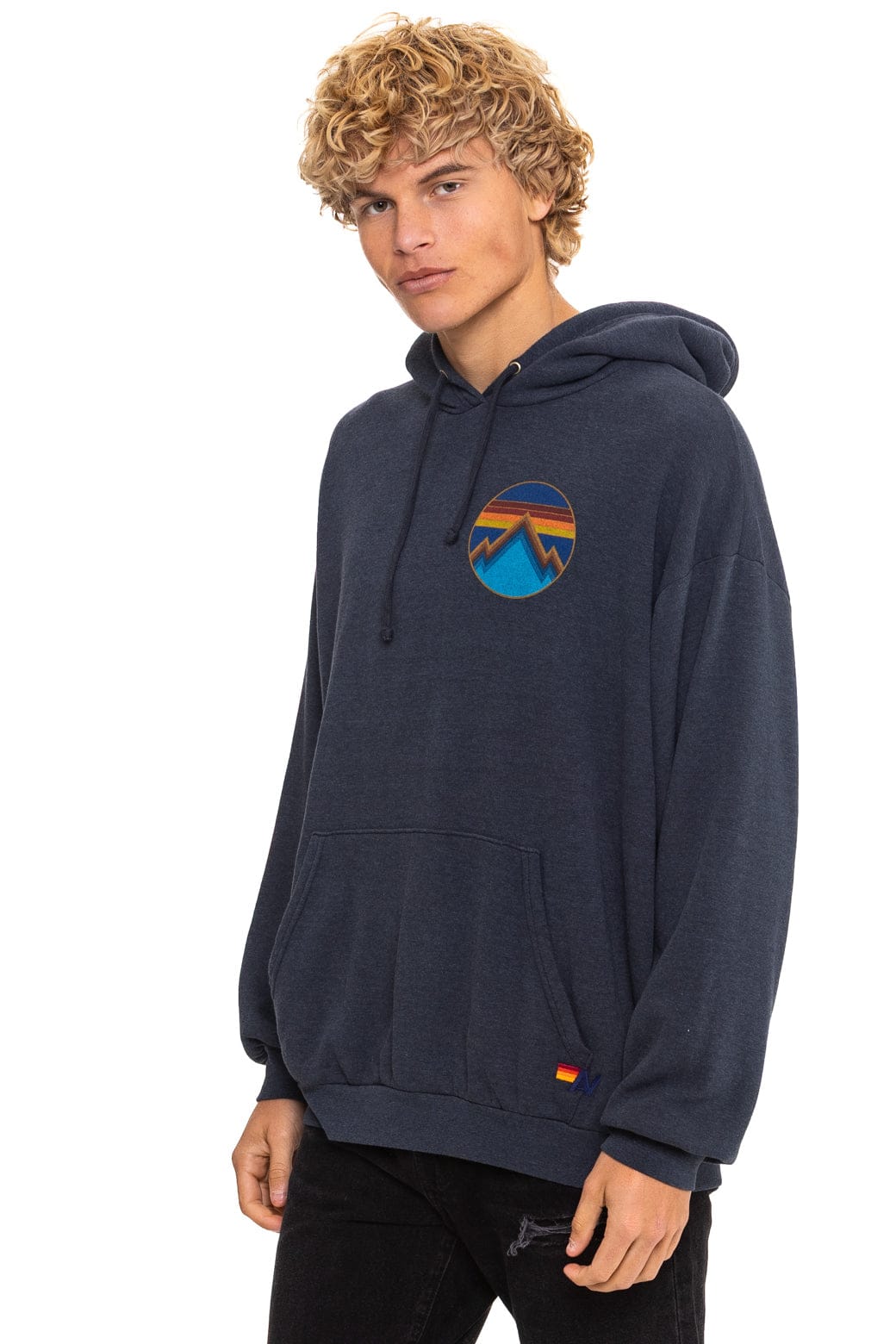 ALL SEASONS RELAXED PULLOVER HOODIE - CHARCOAL