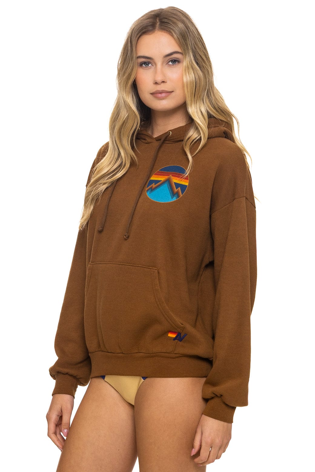 ALL SEASONS RELAXED PULLOVER HOODIE - CINNAMON