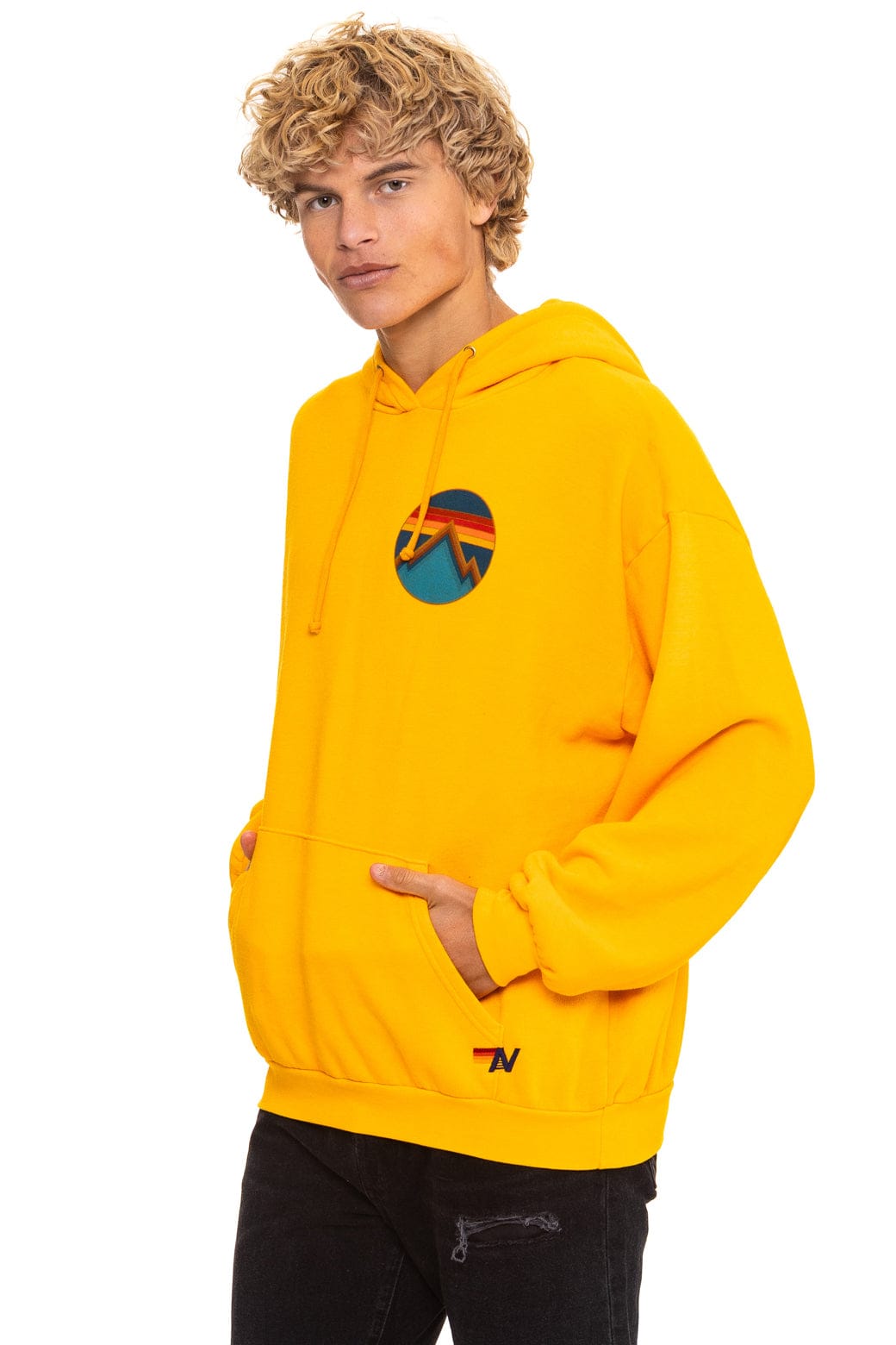 ALL SEASONS RELAXED PULLOVER HOODIE - GOLD