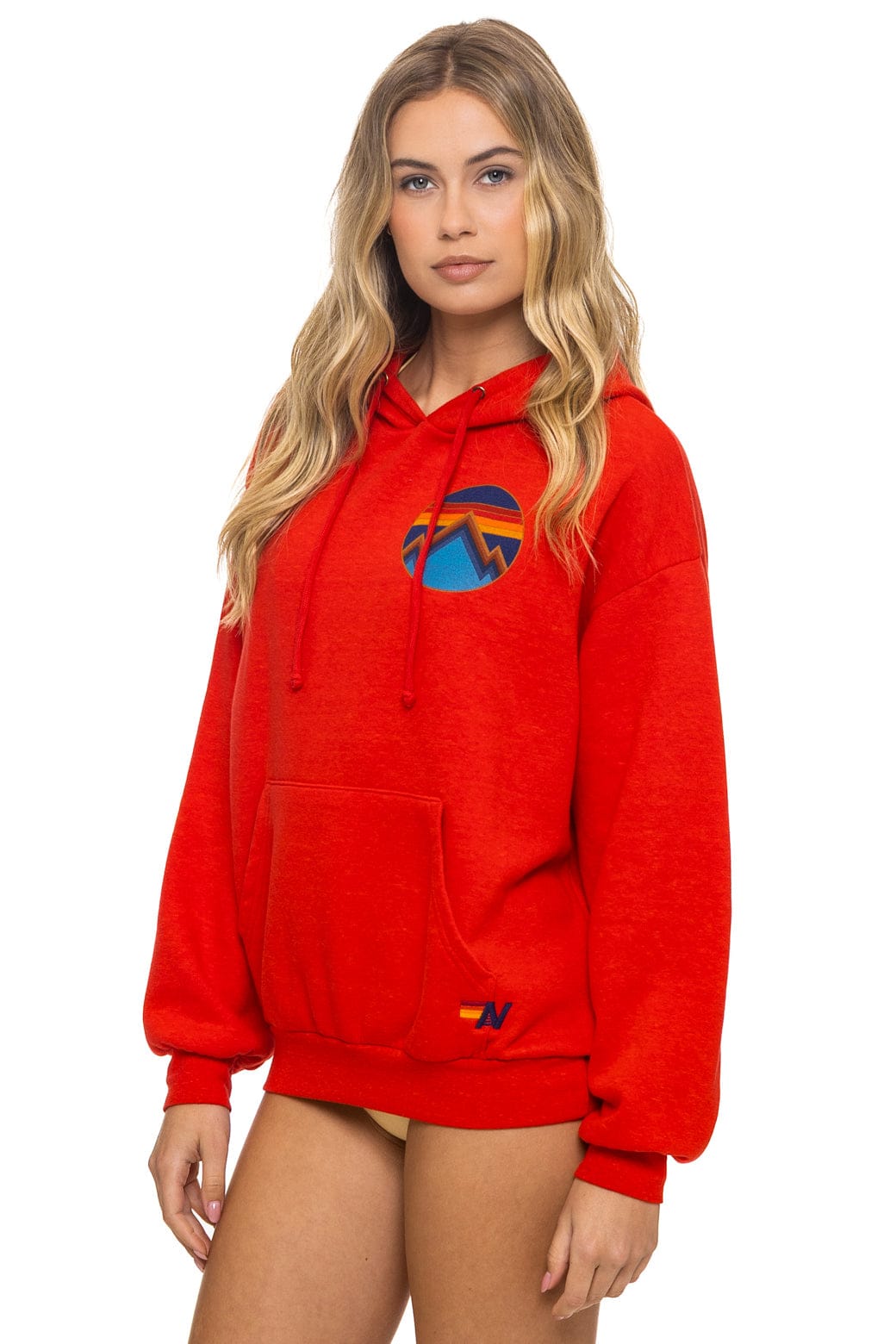ALL SEASONS RELAXED PULLOVER HOODIE - RED