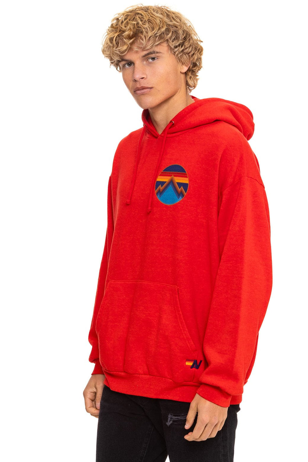 ALL SEASONS RELAXED PULLOVER HOODIE - RED