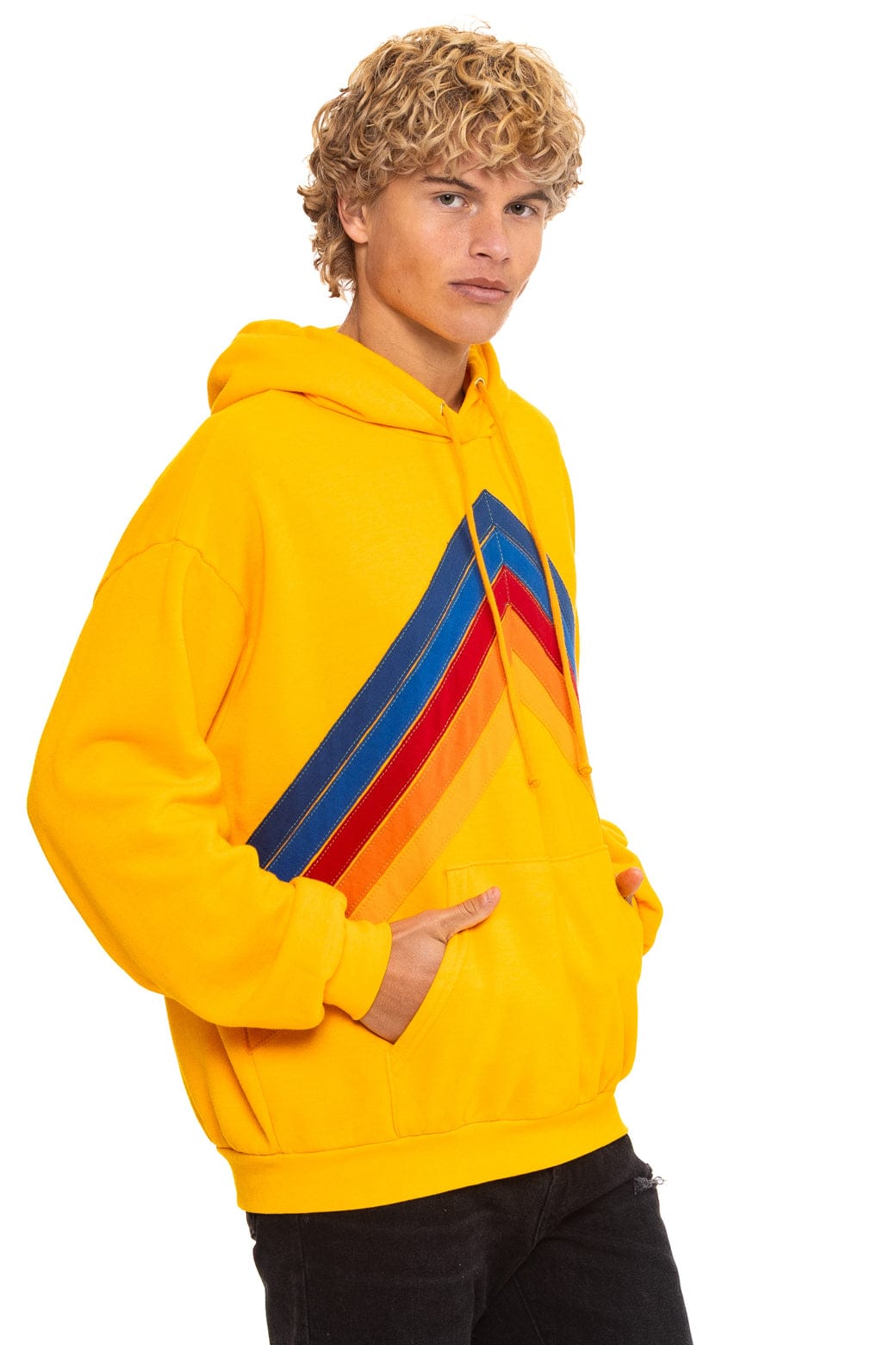 MOUNTAIN STITCH CHEVRON PULLOVER HOODIE RELAXED - GOLD