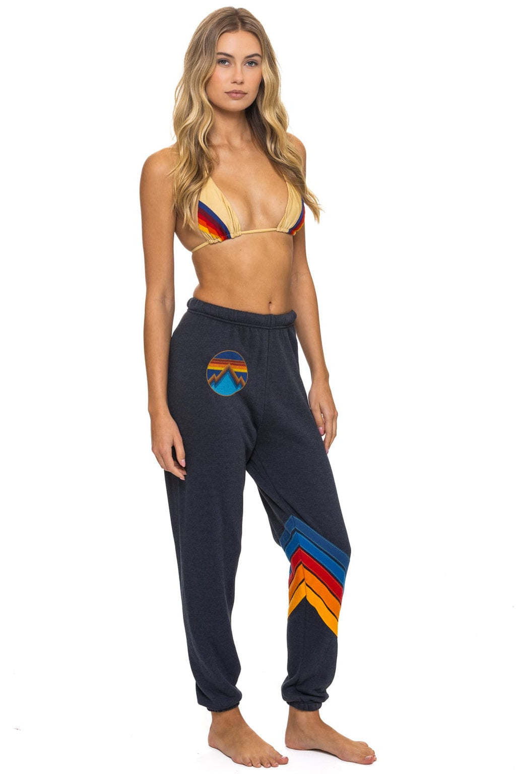 ALL SEASONS CIRCLE CHEVRON SWEATPANTS - CHARCOAL