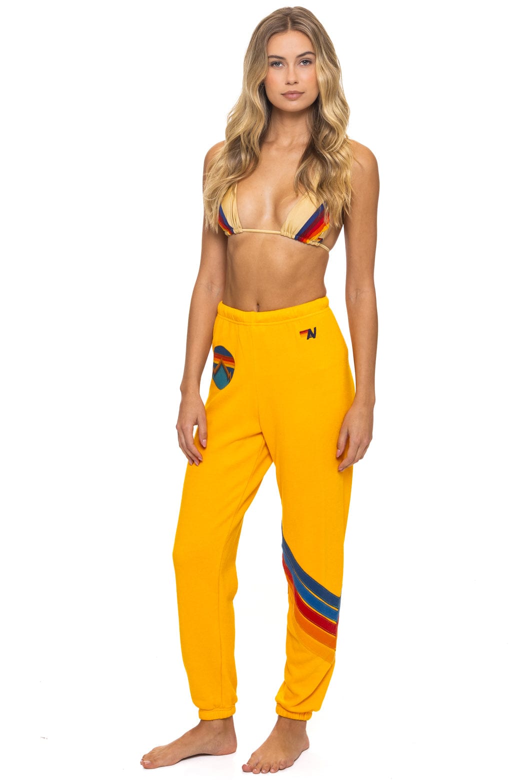 ALL SEASONS CIRCLE CHEVRON SWEATPANTS - GOLD