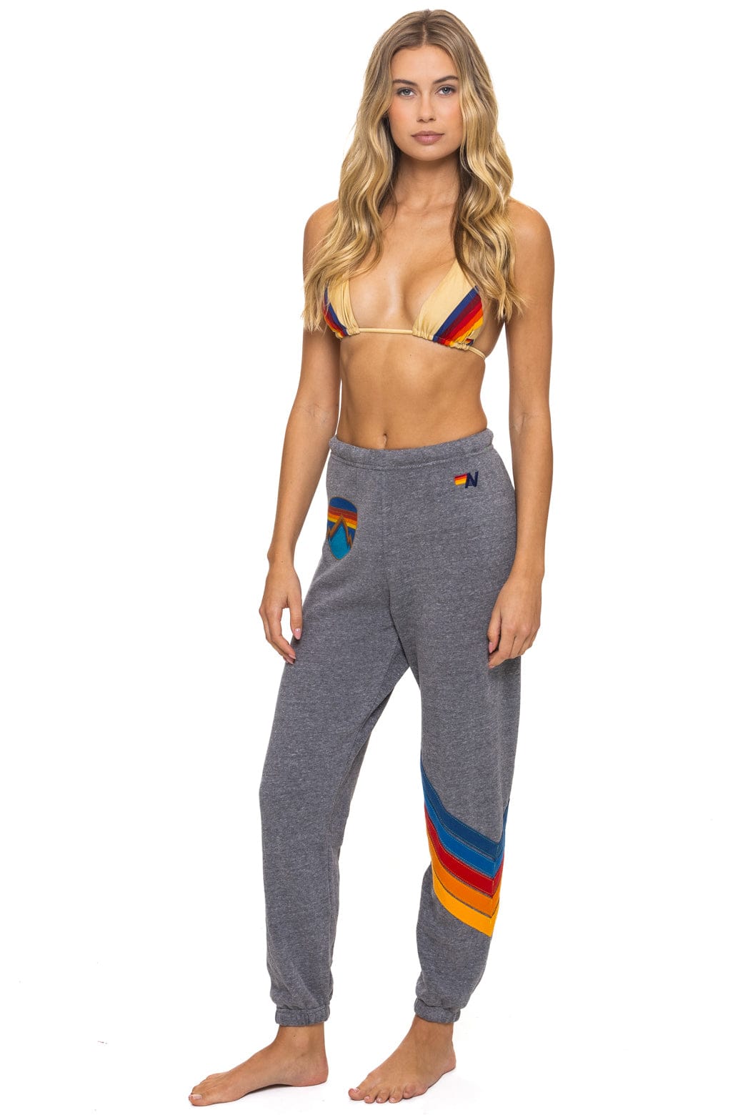 ALL SEASONS CIRCLE CHEVRON SWEATPANTS - HEATHER