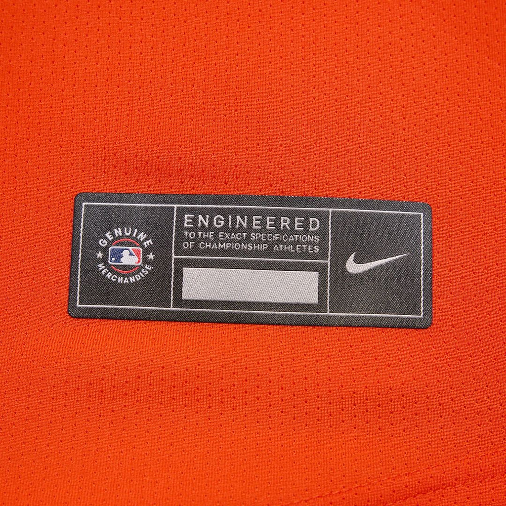 Baltimore Orioles Adley Rutschman Nike Road Limited Jersey - Gray